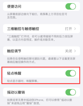 双湖苹果授权维修站分享iPhone轻点无法唤醒怎么办