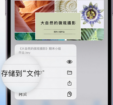 双湖apple维修中心分享iPhone文件应用中存储和找到下载文件