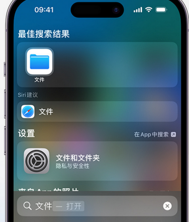 双湖apple维修中心分享iPhone文件应用中存储和找到下载文件 