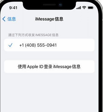 双湖apple维修iPhone上无法正常发送iMessage信息 