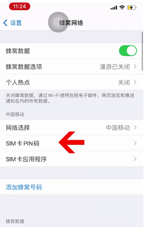 双湖苹果14维修网分享如何给iPhone14的SIM卡设置密码 