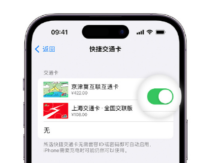 双湖apple维修点分享iPhone上更换Apple Pay快捷交通卡手绘卡面 