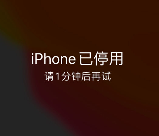 双湖苹果手机维修分享:iPhone 显示“不可用”或“已停用”怎么办？还能保留数据吗？ 