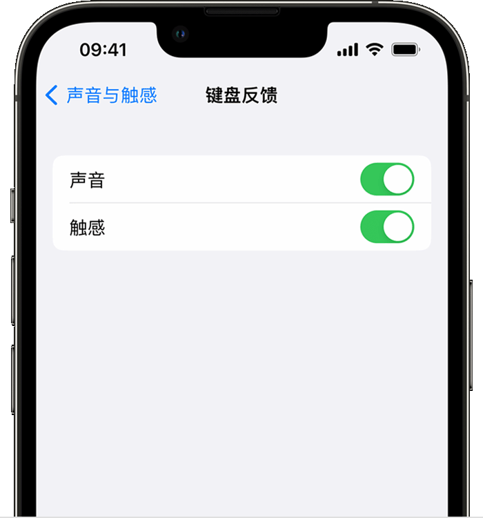 双湖苹果14维修店分享如何在 iPhone 14 机型中使用触感键盘 