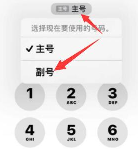 双湖苹果14维修店分享iPhone 14 Pro Max使用副卡打电话的方法 