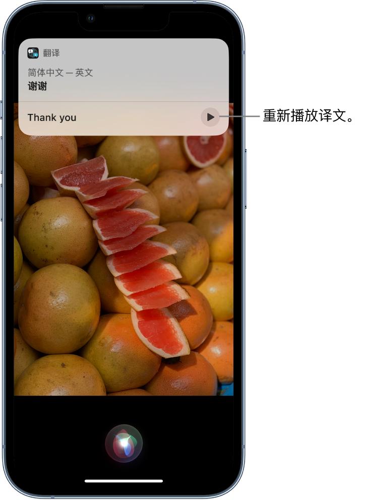 双湖苹果14维修分享 iPhone 14 机型中使用 Siri：了解 Siri 能帮你做什么 