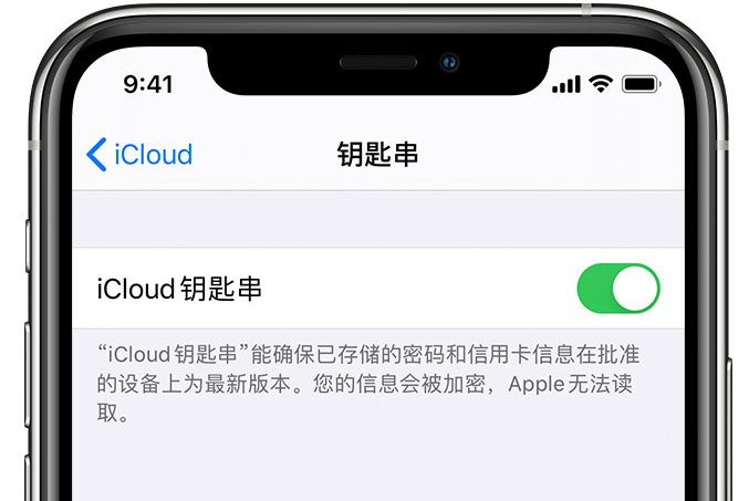 双湖苹果手机维修分享在 iPhone 上开启 iCloud 钥匙串之后会储存哪些信息 