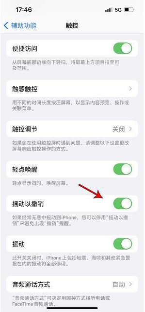 双湖苹果手机维修分享iPhone手机如何设置摇一摇删除文字 